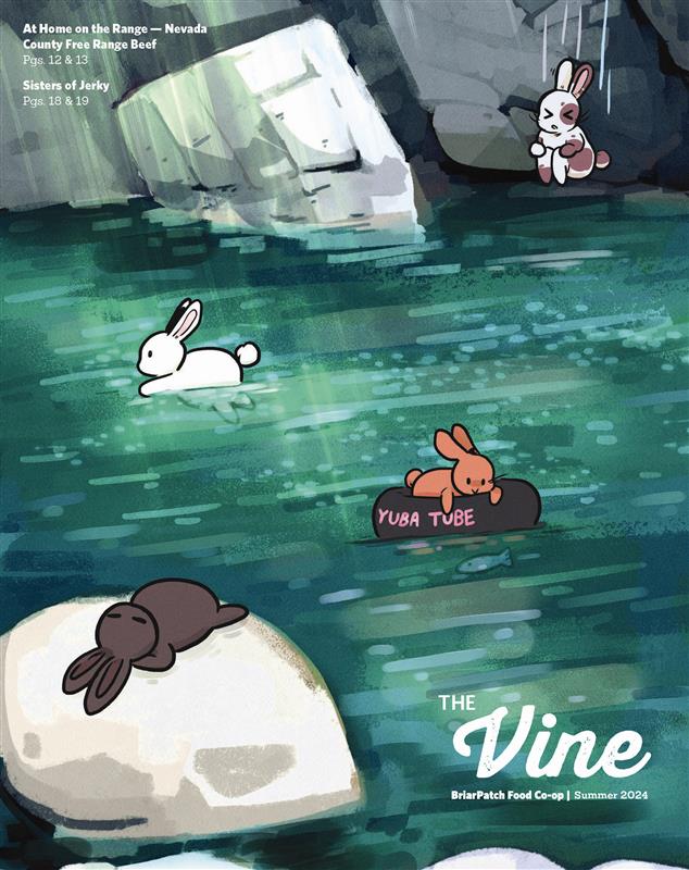 2026 Summer Vine Advertisement