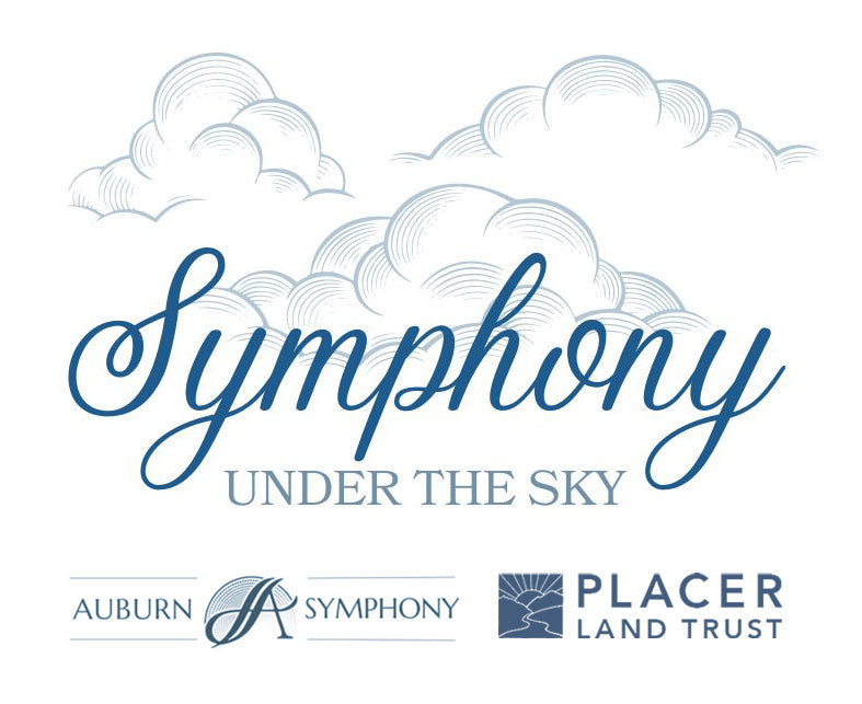 Symphony Under the Sky Picnic Boxes - *SOLD OUT*