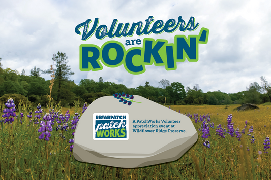 Volunteers Are Rockin’: PatchWorks Volunteer Appreciation Event