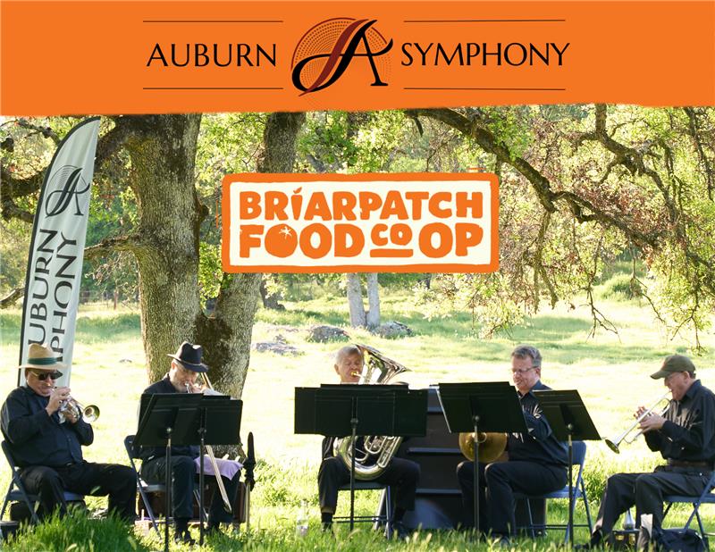 Symphony Under the Sky Picnic Boxes - *SOLD OUT*